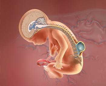 海洋之神·hy590(中国)最新官方网站