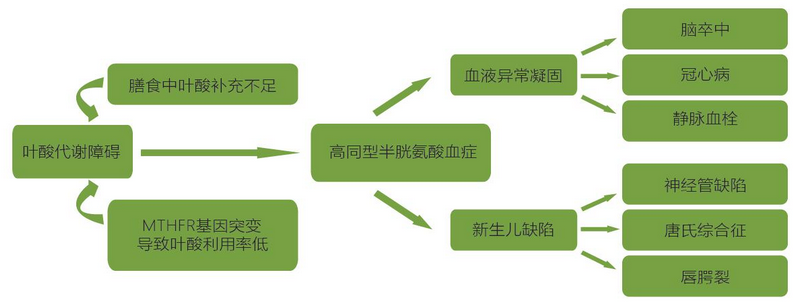 海洋之神·hy590(中国)最新官方网站