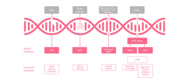 海洋之神·hy590(中国)最新官方网站