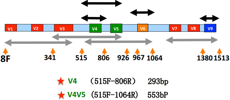 海洋之神·hy590(中国)最新官方网站