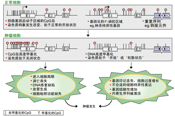 海洋之神·hy590(中国)最新官方网站