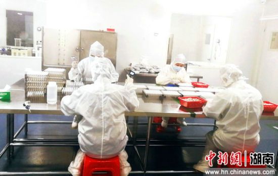 海洋之神·hy590(中国)最新官方网站