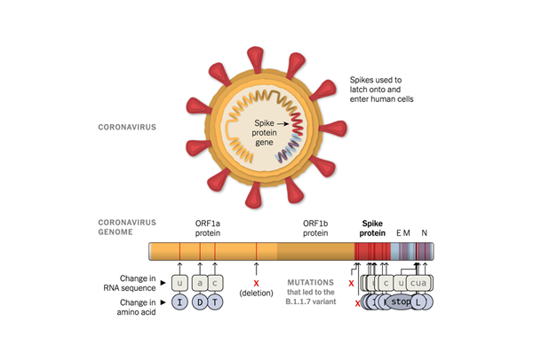 海洋之神·hy590(中国)最新官方网站